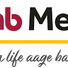 PNB MetLife India Insurance Co. Ltd logo
