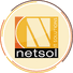 Netsol IT Solutions Pvt. Ltd.